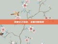 掌握空之轨迹，全面攻略指南