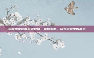 揭秘墨家秘数游戏攻略，掌握策略，成为游戏中的高手