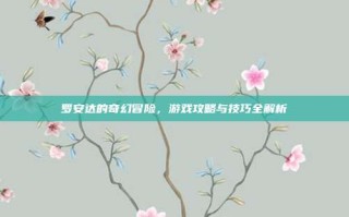 罗安达的奇幻冒险，游戏攻略与技巧全解析