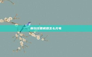 摩尔庄园机器怎么充电