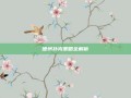 德州扑克策略全解析