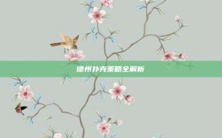 德州扑克策略全解析