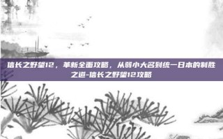 信长之野望12，革新全面攻略，从弱小大名到统一日本的制胜之道-信长之野望12攻略