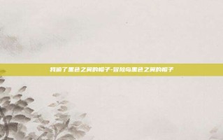我偷了黑色之翼的帽子-冒险岛黑色之翼的帽子
