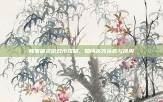 韩服剑灵游戏币攻略，如何高效获取与使用