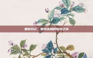 黑岩日记，探索未知的冒险之旅