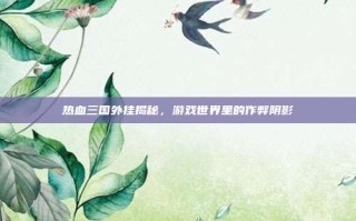 热血三国外挂揭秘，游戏世界里的作弊阴影