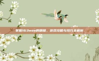 掌握163wow的精髓，游戏攻略与技巧全解析