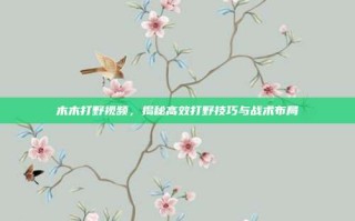 木木打野视频，揭秘高效打野技巧与战术布局