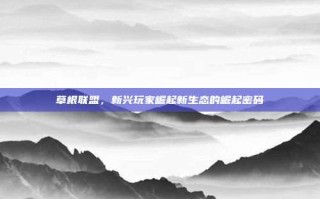 草根联盟，新兴玩家崛起新生态的崛起密码
