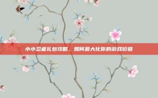 小小忍者礼包攻略，如何最大化你的游戏价值