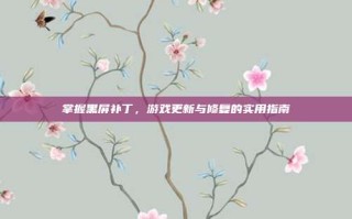 掌握黑屏补丁，游戏更新与修复的实用指南