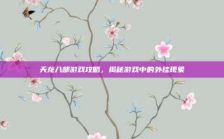 天龙八部游戏攻略，揭秘游戏中的外挂现象