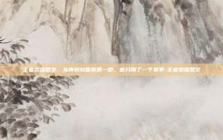 王者荣耀凯文，从青铜到国服第一铠，他只用了一个赛季-王者荣耀凯文