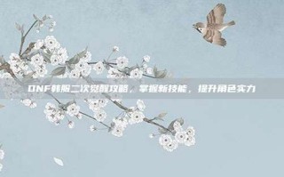 DNF韩服二次觉醒攻略，掌握新技能，提升角色实力