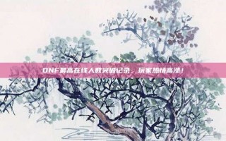DNF最高在线人数突破记录，玩家热情高涨！