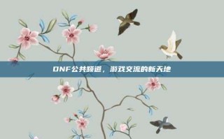 DNF公共频道，游戏交流的新天地
