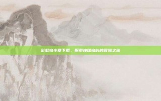 彩虹岛小草下载，探索神秘岛屿的冒险之旅