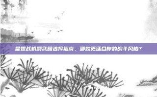 雷霆战机副武器选择指南，哪款更适合你的战斗风格？