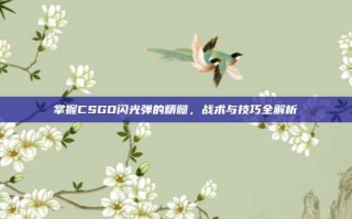 掌握CSGO闪光弹的精髓，战术与技巧全解析