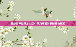 魔兽世界私服怎么玩？深入探索游戏秘籍与策略