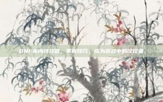 DNF米内特攻略，掌握技巧，成为游戏中的佼佼者
