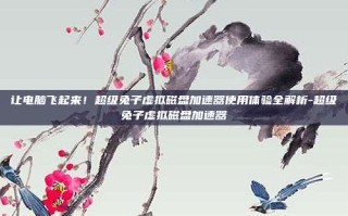 让电脑飞起来！超级兔子虚拟磁盘加速器使用体验全解析-超级兔子虚拟磁盘加速器