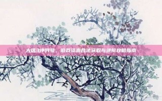 大话3序列号，游戏资源合法获取与进阶攻略指南