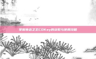 掌握夜店之王CDKey的获取与使用攻略