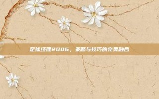 足球经理2006，策略与技巧的完美融合