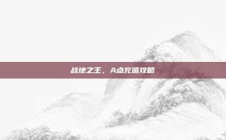 战地之王，A点充值攻略
