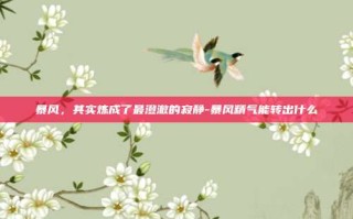 暴风，其实炼成了最澄澈的寂静-暴风精气能转出什么