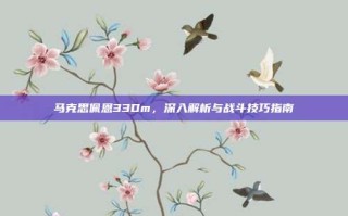 马克思佩恩33Dm，深入解析与战斗技巧指南