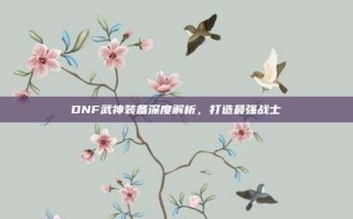 DNF武神装备深度解析，打造最强战士