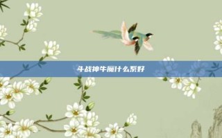 斗战神牛魔什么系好