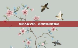 揭秘天堂之冠，游戏界的终极荣耀