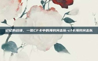 记忆的战场，一张CF卡中的海豹突击队-cf卡海豹突击队