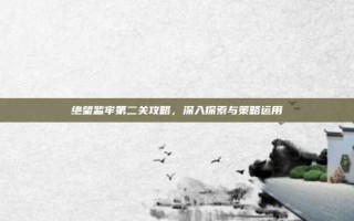 绝望监牢第二关攻略，深入探索与策略运用