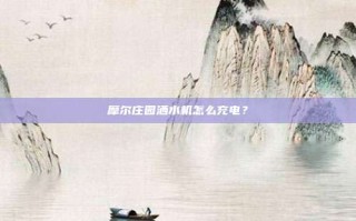 摩尔庄园洒水机怎么充电？