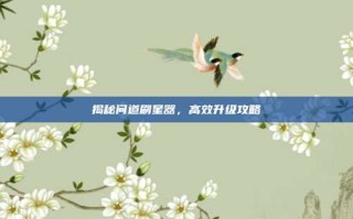 揭秘问道刷星器，高效升级攻略