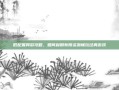 低配置网游攻略，如何利用有限资源畅玩经典游戏