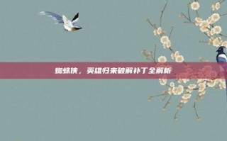 蜘蛛侠，英雄归来破解补丁全解析
