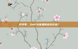 开学季，DNF玩家如何高效升级？