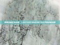掌握终极艺术大师，LASTDAYONEARTH儿子的终极攻略
