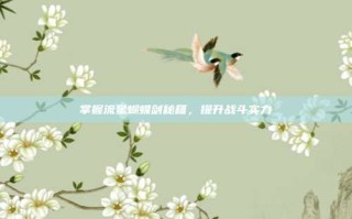 掌握流星蝴蝶剑秘籍，提升战斗实力