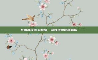 九阴真经怎么刺探，游戏进阶秘籍解析