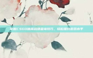 掌握CSGO休闲战绩查询技巧，轻松提升游戏水平