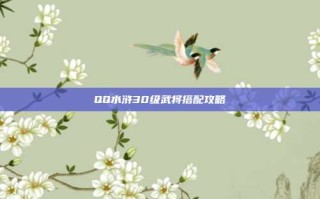 QQ水浒30级武将搭配攻略