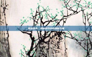 部落外衣，揭秘游戏中的神秘力量