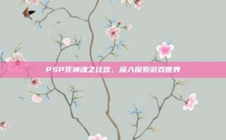 PSP死神魂之狂欢，深入探索游戏世界